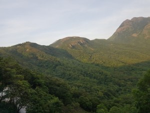 Bus ride over Lantau island