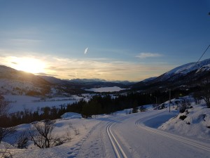 View over the cross-country track to  Svartløkvatnet