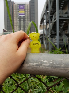 A Travel-Bug gets his picture taken