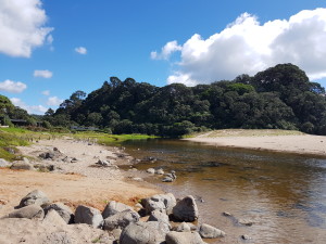 At Hot water beach