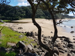 Hot water beach