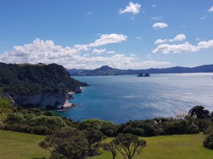Cathedral cove view