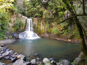 Waiau falls