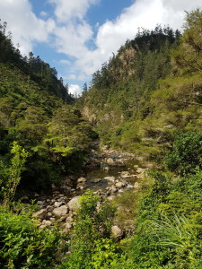 The canyon towards the window walk