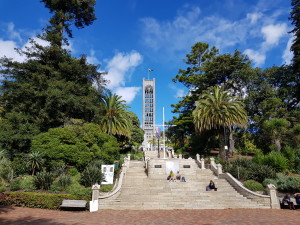 Nelson cathedral