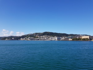 Wellington harbor