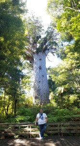 Me and the tree...