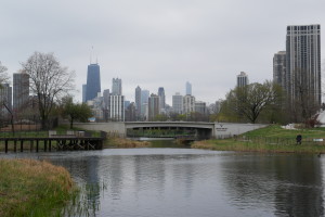 Downtown Chicago from the north