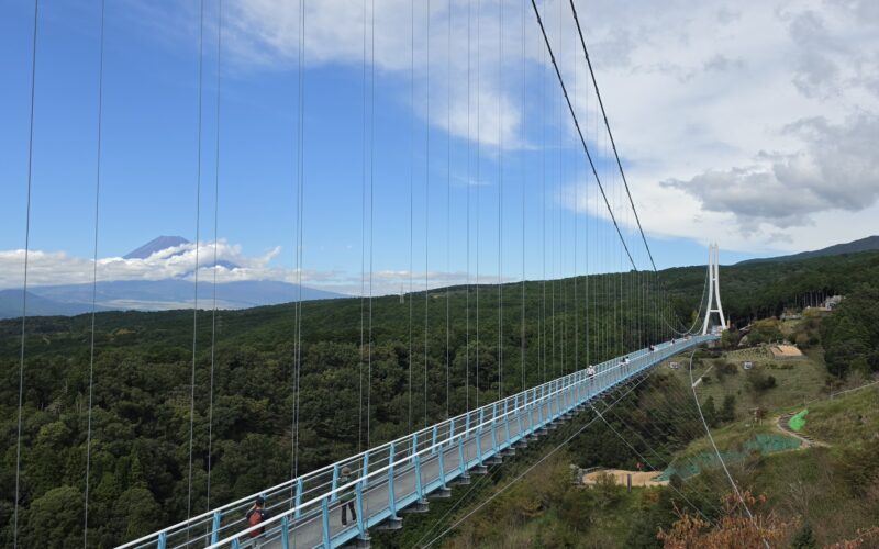 Pirate Ships and a View of Fuji – Day 11
