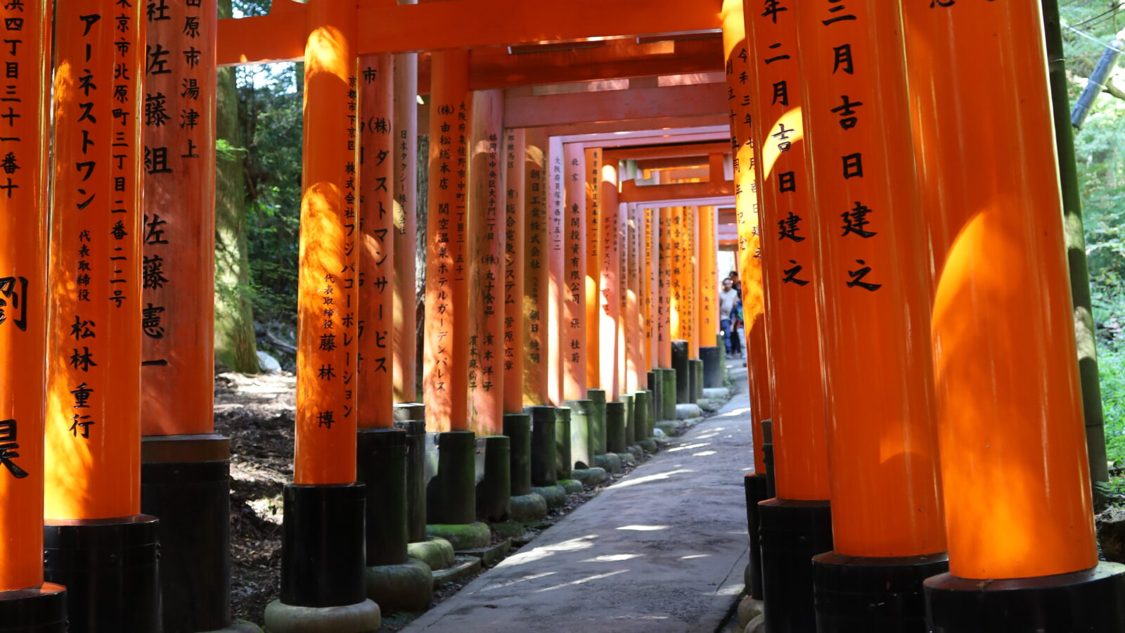 A Thousand Gates and Thousands of Stairs – Day 14