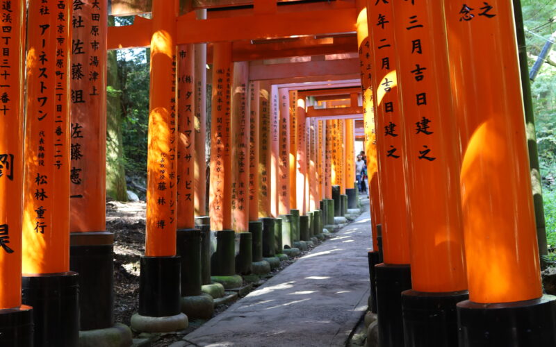 A Thousand Gates and Thousands of Stairs – Day 14